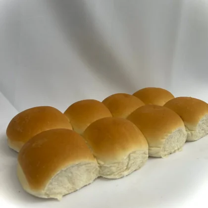 Tortugas chicas x20 unidades