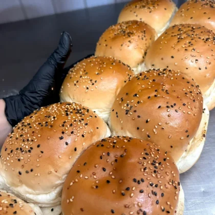 Tortugas grandes con sésamo x20 unidades