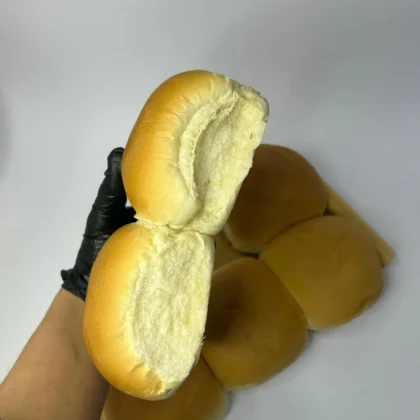 Tortugas grandes x20 unidades